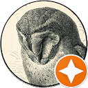 Cassandre profile picture